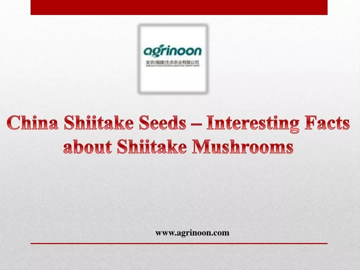 china shiitake seeds interesting facts about