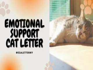 Emotional Support Cat Letter