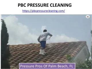 KNOW ABOUT PRESSURE PROS OF PALM BEACH, INC.