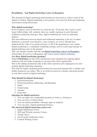 brandlution top digital marketing course