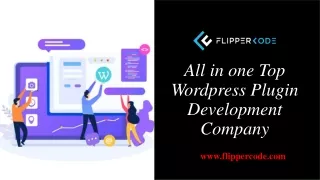Flipper Code- Different Types of WordPress Plugins