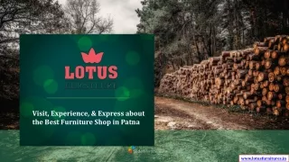Visit, Experience, & Express about the Best Furniture Shop in Patna