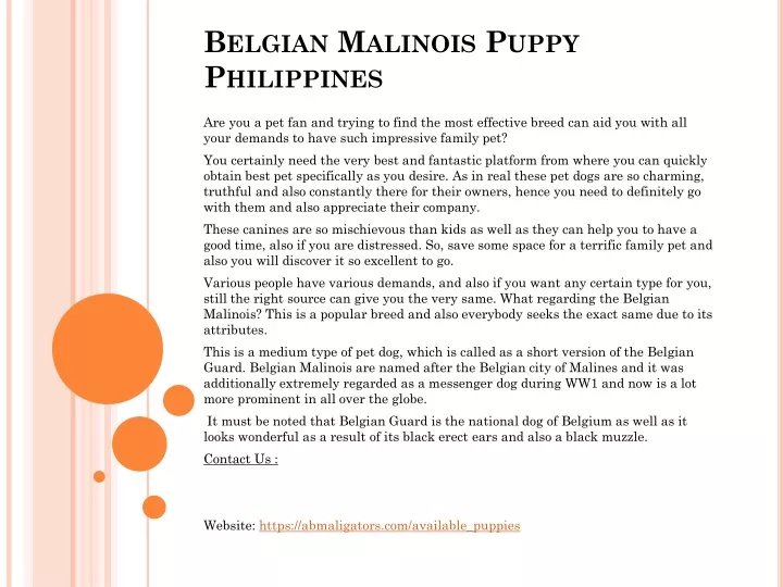 belgian malinois puppy philippines