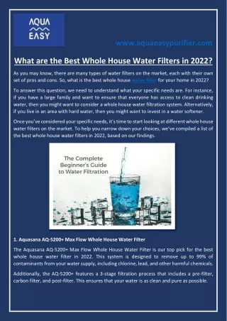 What are the Best Whole House Water Filters in 2022