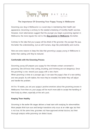 The Importance Of Grooming Your Puppy Young in Melbourne