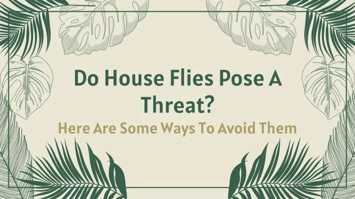 do house flies pose a threat here are some ways to avoid them