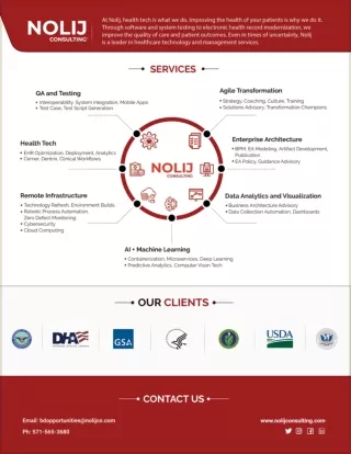 Nolij Consulting - Capability Statement