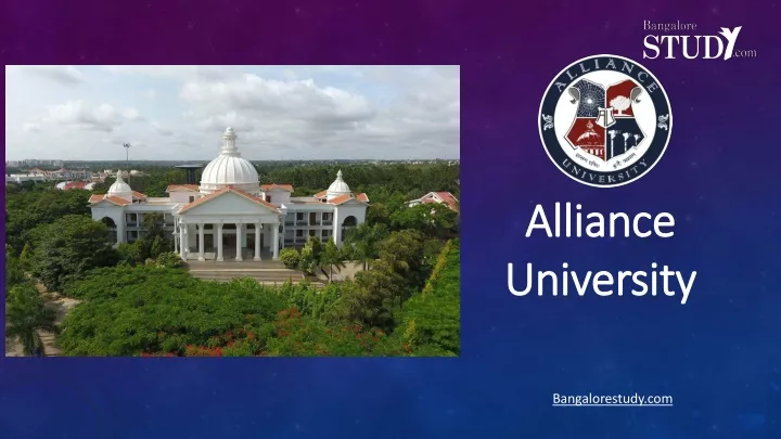 alliance alliance universit university y