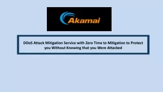 DDoS Attack Mitigation Service