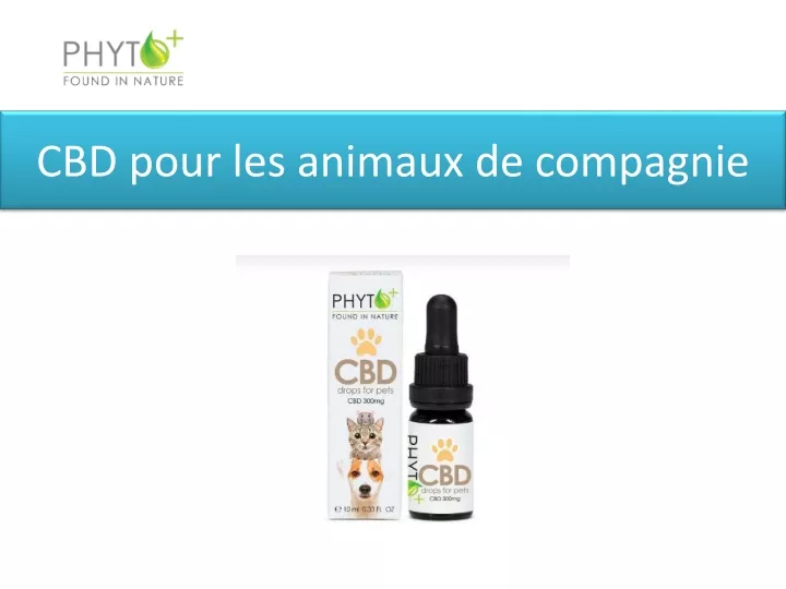 cbd pour les animaux de compagnie