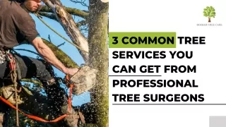3 common tree services you can get from