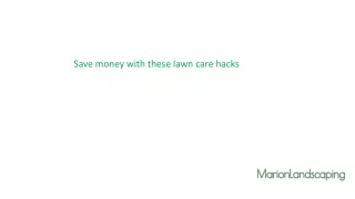 Get the Best landscaping services in Marin County