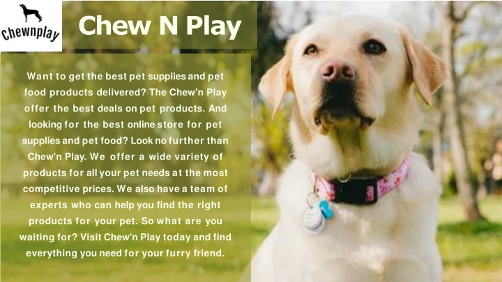 chew n play