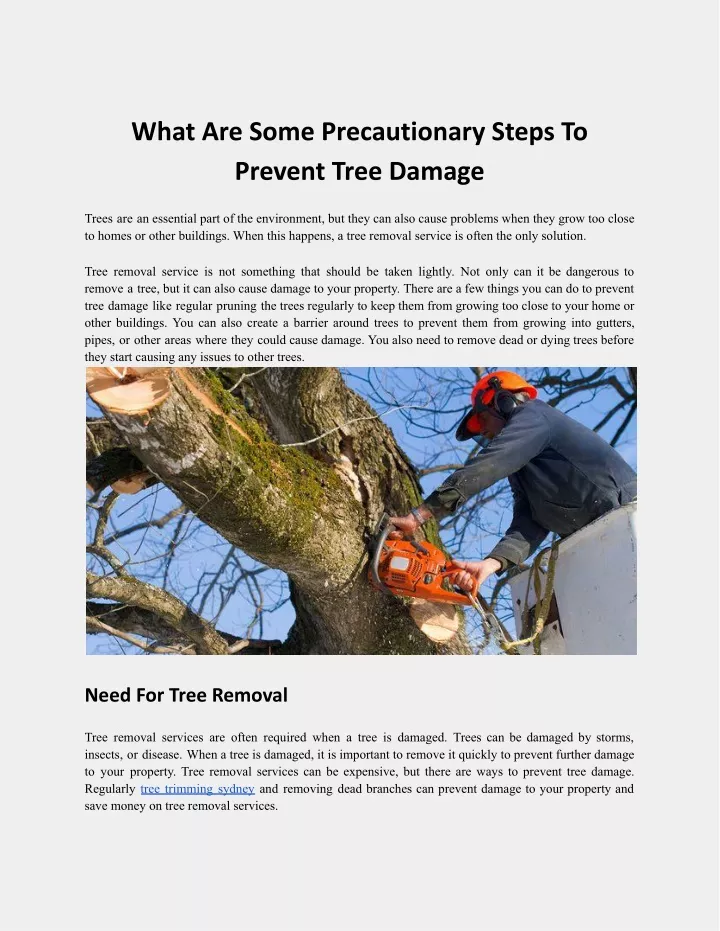 what are some precautionary steps to prevent tree