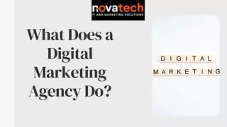 What Does a Digital Marketing Agency Do