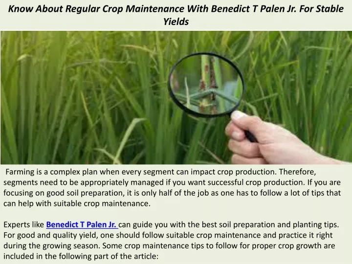 know about regular crop maintenance with benedict t palen jr for stable yields