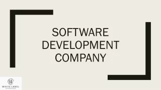SOFTWARE DEVELOPMENT COMPANY | SOFTWARE DEVELOPERS