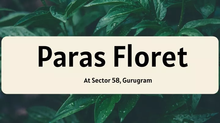 paras floret at sector 58 gurugram