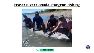 Fraser River Canada Sturgeon Fishing - Kilby Lodge