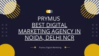 prymus best digital marketing agency in noida