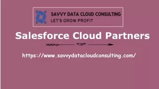 Salesforce Cloud Partners
