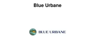 Vintage Jewelry USA: Blue Urbane