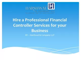 Hire a Professional Financial Controller Services for your Business – HCLLP