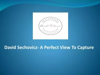David Sechovicz- A Perfect View To Capture
