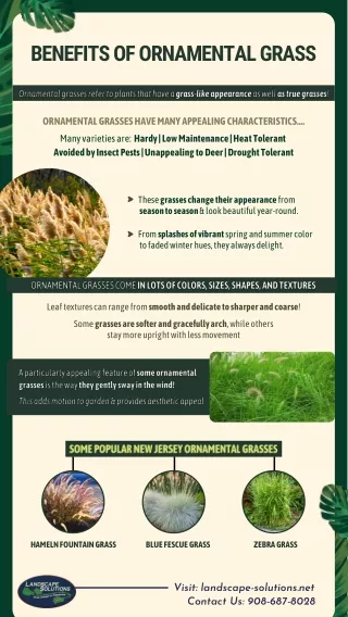 Benefits of Ornamental Grass