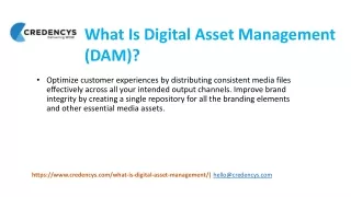 what is digital asset management dam