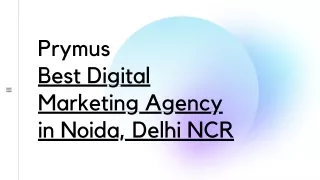 prymus best digital marketing agency in noida