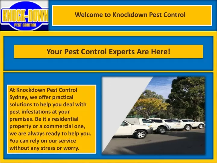 welcome to knockdown pest control