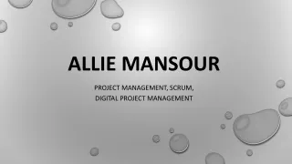 Allie Mansour - A Goal-focused Professional