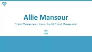 Allie Mansour - Provides Consultation in Leadership