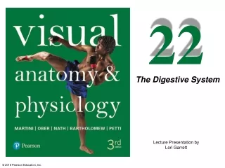 Anatomy of Digestive system-For Medicine