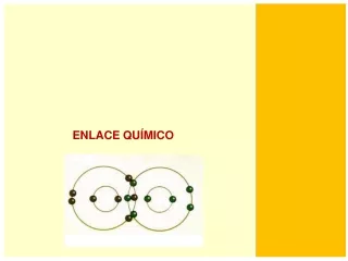 enlace qu mico