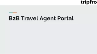 B2B Travel Agent Portal