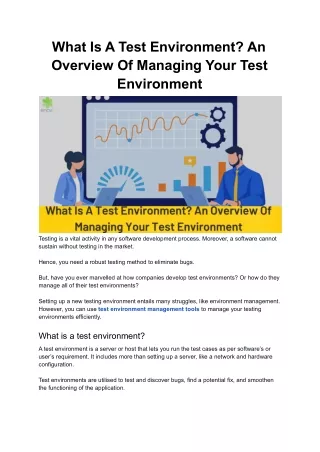 what is a test environment an overview