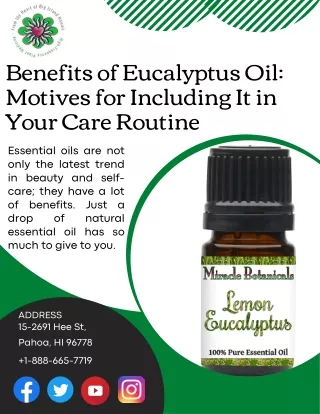 The Benefits of Eucalyptus Oil and Why You Should Use It in Your Care Routine