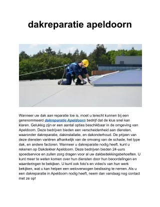 dakreparatie apeldoorn