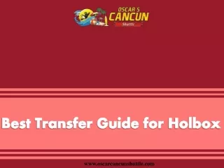 best transfer guide for holbox
