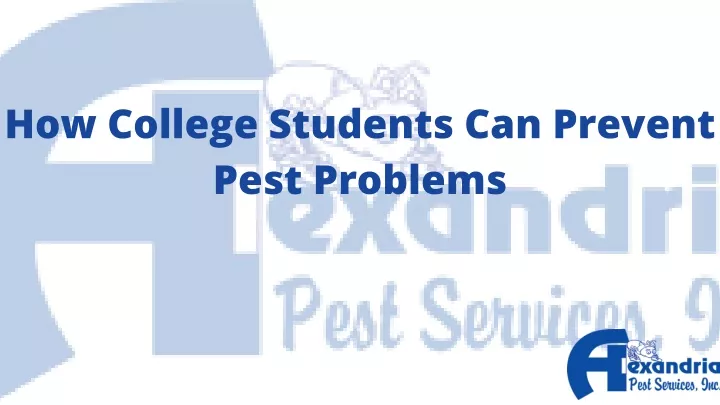 how college students can prevent pest problems