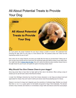 All About Potential Treats to Provide Your Dog