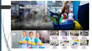 Dubai Municipality Approved Pest Control Company - SMG