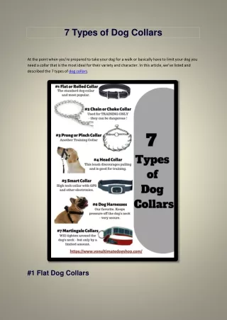 7 types of dog collars