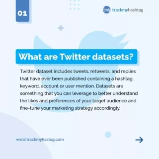 What are Twitter datasets?