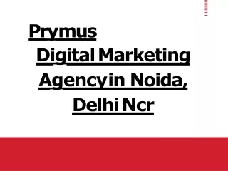 p r y m u s digital marketing agency in noida