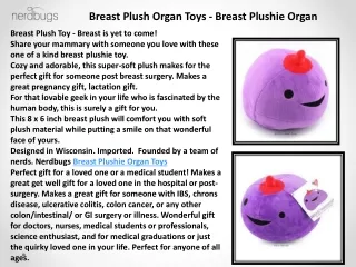 Uterus Plush Organ Toy - Uterus Plushie Toy  Human Organs Plush Toy -  Nerdbugs Plush Toy Organs
