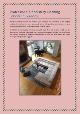 Professional Upholstery Cleaning Service in Peabody