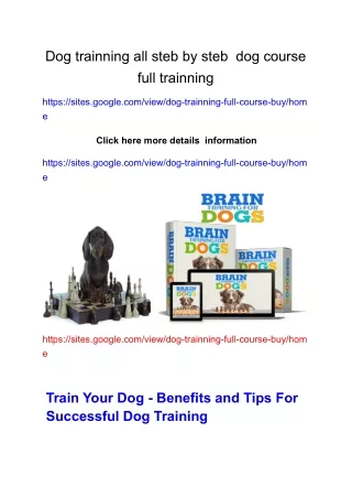 dog trainning course trainning program